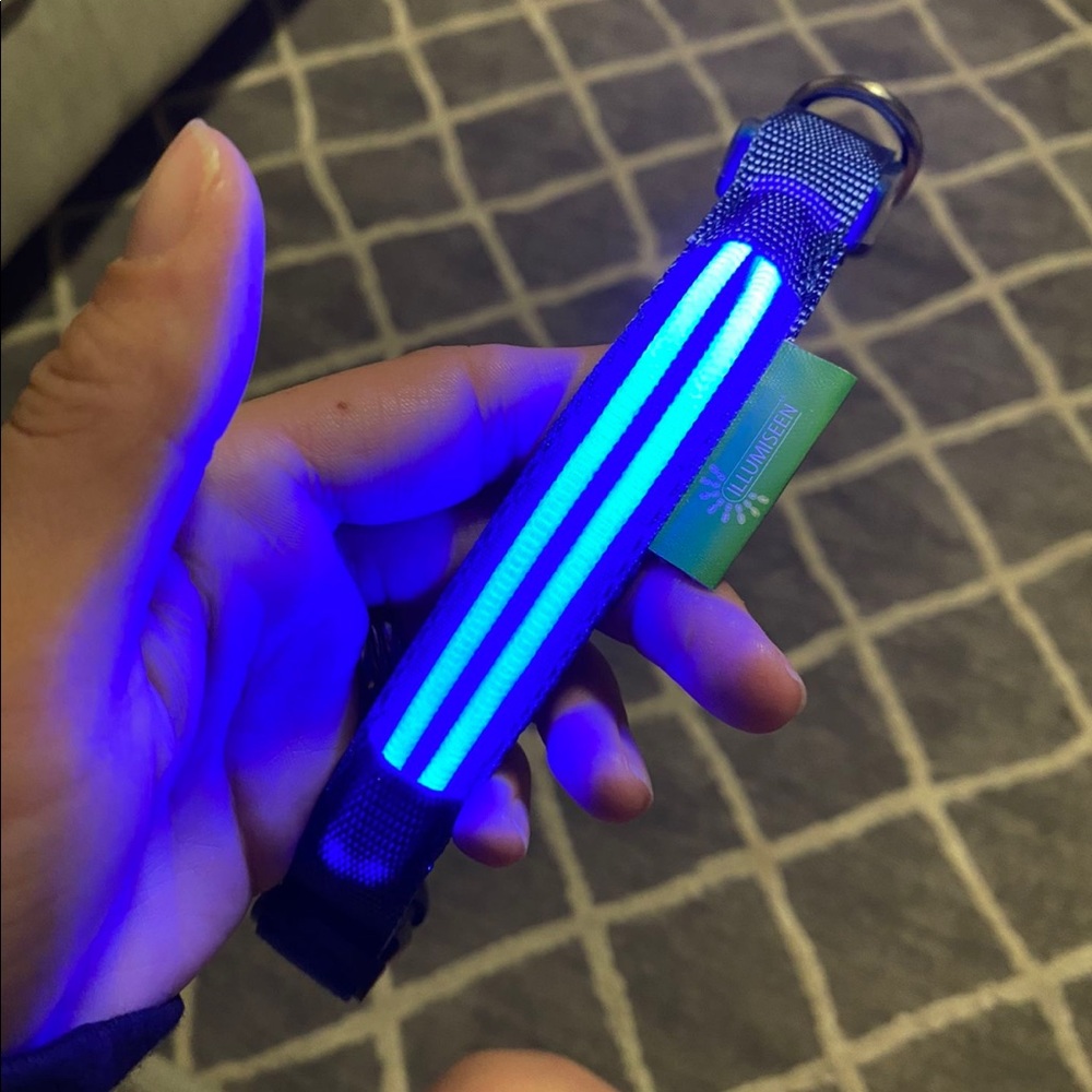 Night light pets collar